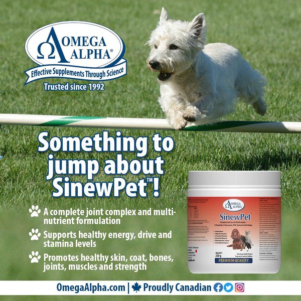 Show full view: Omega Alpha SinewPet Joint Care, Healthy Digestion, Skin & Coat Dog & Cat Supplement, 250-g bottle slide 6 of 7