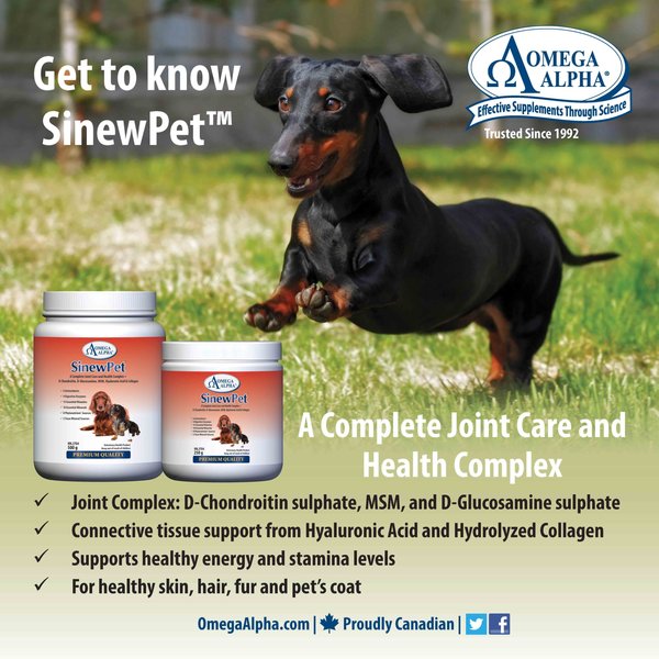 Show full view: Omega Alpha SinewPet Joint Care, Healthy Digestion, Skin & Coat Dog & Cat Supplement, 250-g bottle slide 7 of 7