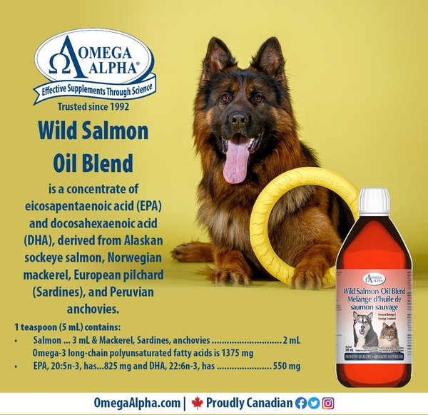 Show full view: Omega Alpha Wild Salmon Oil Blend Omega-3 EFA Dog & Cat Supplement, 500-mL bottle slide 4 of 8
