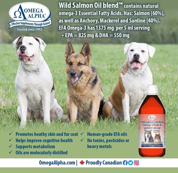 Show full view: Omega Alpha Wild Salmon Oil Blend Omega-3 EFA Dog & Cat Supplement, 500-mL bottle slide 6 of 8