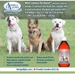 Show in main carousel: Omega Alpha Wild Salmon Oil Blend Omega-3 EFA Dog & Cat Supplement, 500-mL bottle slide 6 of 8