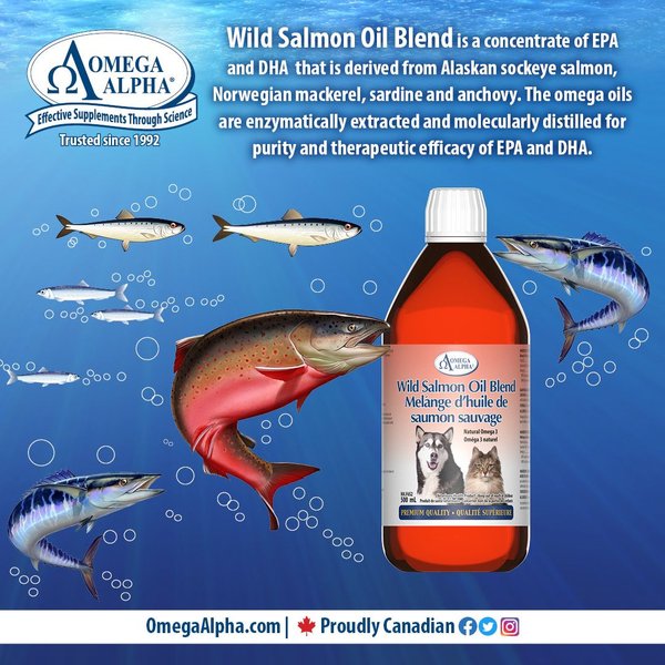 Show full view: Omega Alpha Wild Salmon Oil Blend Omega-3 EFA Dog & Cat Supplement, 500-mL bottle slide 7 of 8