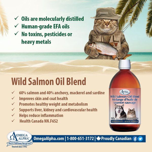 Show full view: Omega Alpha Wild Salmon Oil Blend Omega-3 EFA Dog & Cat Supplement, 500-mL bottle slide 8 of 8