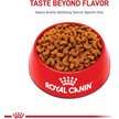 Show in main carousel: Royal Canin Breed Health Nutrition French Bulldog Puppy Dry Dog Food, 4.76-kg bag slide 2 of 13