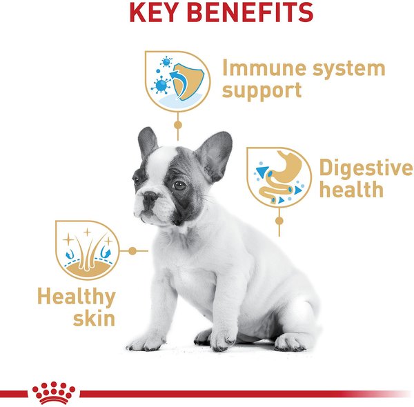 Show full view: Royal Canin Breed Health Nutrition French Bulldog Puppy Dry Dog Food, 4.76-kg bag slide 5 of 13