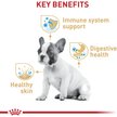 Show in main carousel: Royal Canin Breed Health Nutrition French Bulldog Puppy Dry Dog Food, 4.76-kg bag slide 5 of 13