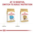 Show in main carousel: Royal Canin Breed Health Nutrition French Bulldog Puppy Dry Dog Food, 4.76-kg bag slide 7 of 13