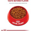 Show in main carousel: Royal Canin Feline Health Nutrition Mother & Babycat Dry Cat Food, 2.72-kg bag slide 2 of 10