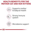 Show in main carousel: Royal Canin Feline Health Nutrition Mother & Babycat Dry Cat Food, 2.72-kg bag slide 5 of 10