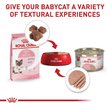 Show in main carousel: Royal Canin Feline Health Nutrition Mother & Babycat Dry Cat Food, 2.72-kg bag slide 6 of 10