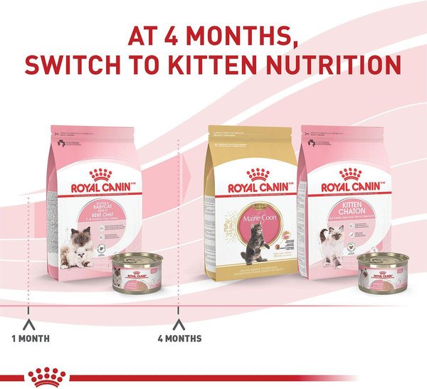 Show full view: Royal Canin Feline Health Nutrition Mother & Babycat Dry Cat Food, 2.72-kg bag slide 7 of 10