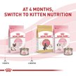 Show in main carousel: Royal Canin Feline Health Nutrition Mother & Babycat Dry Cat Food, 2.72-kg bag slide 7 of 10