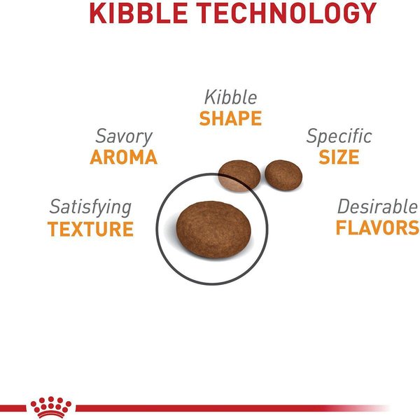 Show full view: Royal Canin Feline Care Nutrition Hair & Skin Care Dry Cat Food, 2.72-kg bag slide 3 of 10