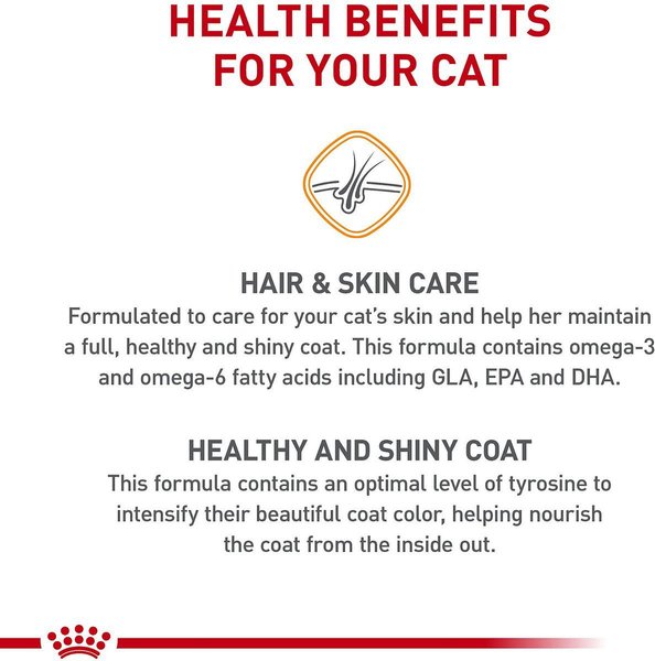 Show full view: Royal Canin Feline Care Nutrition Hair & Skin Care Dry Cat Food, 2.72-kg bag slide 4 of 10