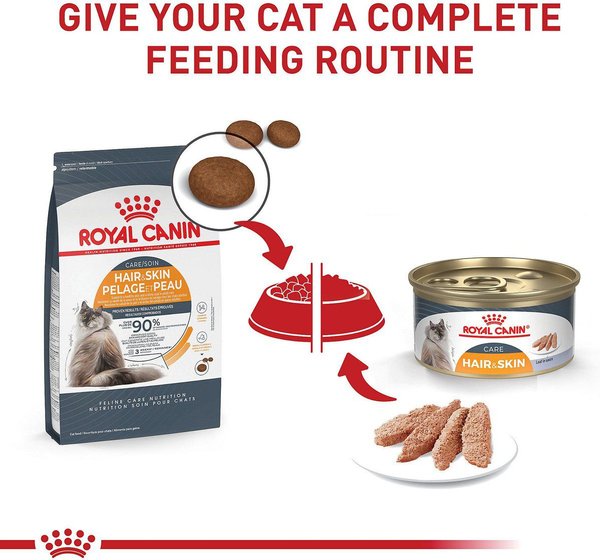 Show full view: Royal Canin Feline Care Nutrition Hair & Skin Care Dry Cat Food, 2.72-kg bag slide 6 of 10