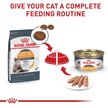 Show in main carousel: Royal Canin Feline Care Nutrition Hair & Skin Care Dry Cat Food, 2.72-kg bag slide 6 of 10