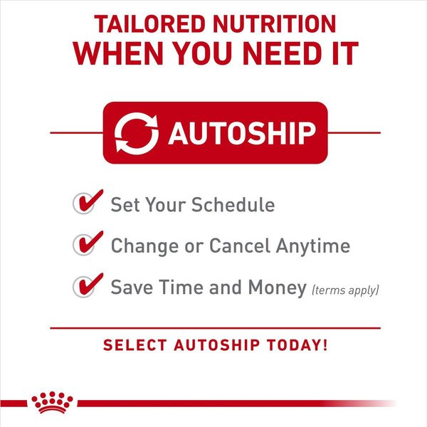 Show full view: Royal Canin Canine Care Nutrition Small Dental Care Dry Dog Food, 1.36-kg bag slide 5 of 8