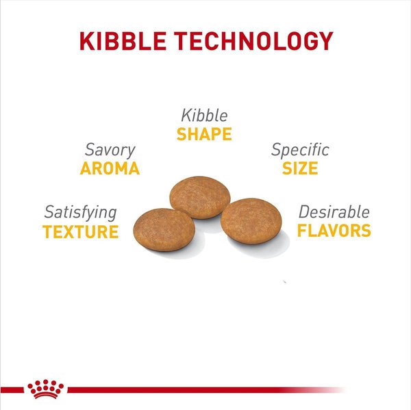 Show full view: Royal Canin Canine Care Nutrition Small Sensitive Skin Care Dry Dog Food, 4.54-kg bag slide 3 of 10