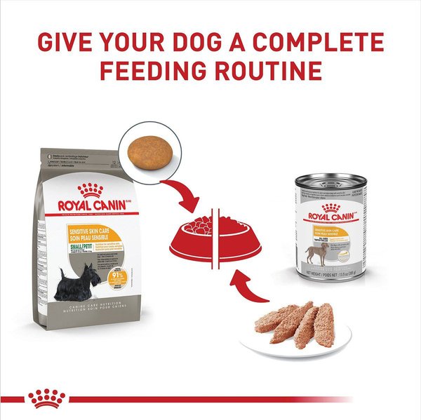 Show full view: Royal Canin Canine Care Nutrition Small Sensitive Skin Care Dry Dog Food, 4.54-kg bag slide 6 of 10