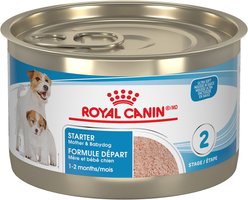 Royal Canin Canine Health Nutrition Starter Mousse Wet Canned Dog Food, 5.1-oz can, case of 24