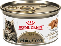 Royal Canin Feline Breed Nutrition Maine Coon Adult Thin Slices in Gravy Wet Canned Cat Food, 3-oz can, case of 24