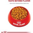 Show in main carousel: Royal Canin Feline Breed Nutrition Persian Formula Adult Dry Cat Food, 7.26-kg bag slide 2 of 9