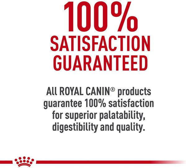 Show full view: Royal Canin Feline Breed Nutrition Persian Formula Adult Dry Cat Food, 7.26-kg bag slide 8 of 9