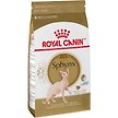Show in main carousel: Royal Canin Feline Breed Nutrition Sphynx Dry Cat Food, 3.18-kg bag slide 3 of 10
