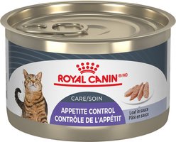 Royal Canin Feline Care Nutrition Appetite Control Care Loaf In Sauce Wet Canned Cat Food, 5.1-oz can, case of 24