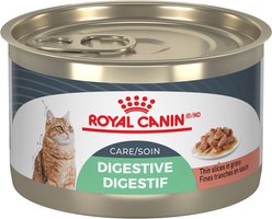 Royal Canin Feline Care Nutrition Digestive Care Thin Slices in Gravy Wet Canned Cat Food, 145-g can, case of 24