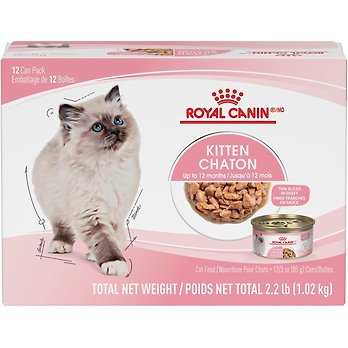 Kitten Supplies & Accessories - Free shipping | Chewy Canada