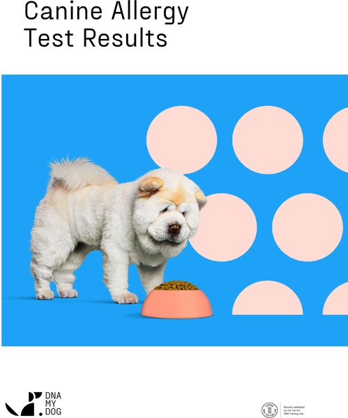 Show full view: DNA My Dog Allergy Test slide 3 of 5