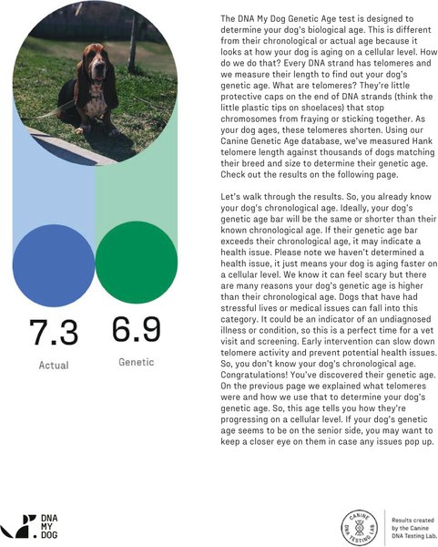Show full view: DNA My Dog Premium Breed Identification Test slide 4 of 6