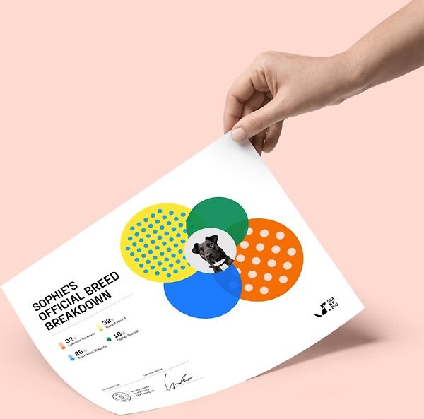 Show full view: DNA My Dog Premium Breed Identification Test slide 5 of 6