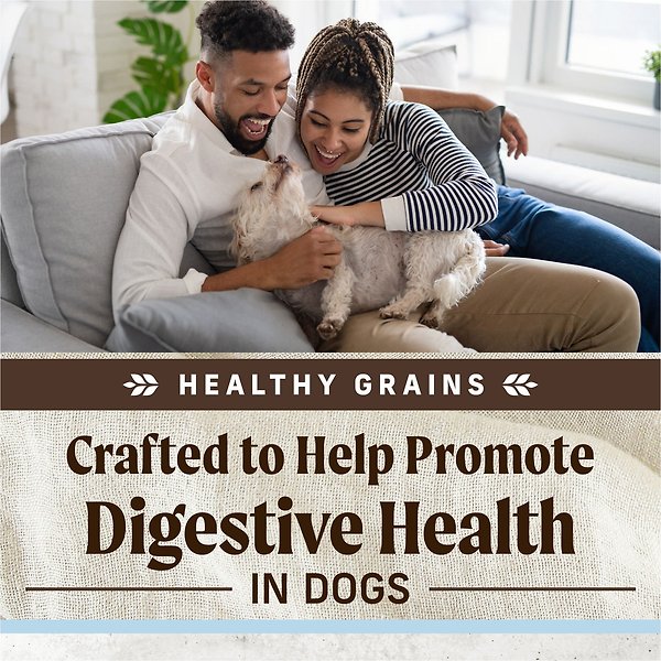 Show full view: Merrick Healthy Grains Gut Health Chicken With Yogurt-Infused Clusters Dry Dog Food, 9.07-kg bag slide 5 of 10