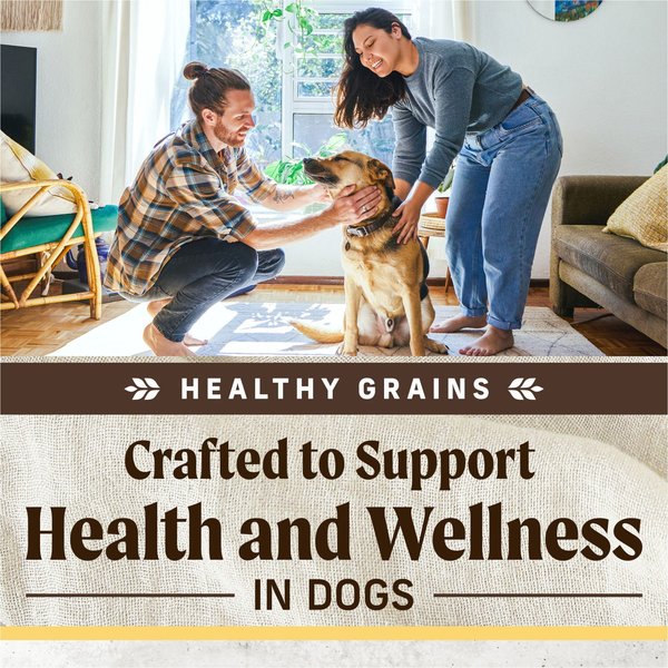 Show full view: Merrick Healthy Grains Immune Health Chicken With Freeze-Dried Clusters & Superfoods Dry Dog Food, 9.07-kg bag slide 5 of 9