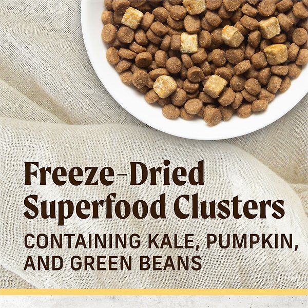Show full view: Merrick Healthy Grains Immune Health Chicken With Freeze-Dried Clusters & Superfoods Dry Dog Food, 9.07-kg bag slide 8 of 9