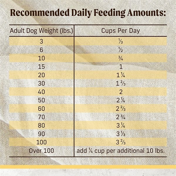 Show full view: Merrick Healthy Grains Immune Health Chicken With Freeze-Dried Clusters & Superfoods Dry Dog Food, 9.07-kg bag slide 9 of 9