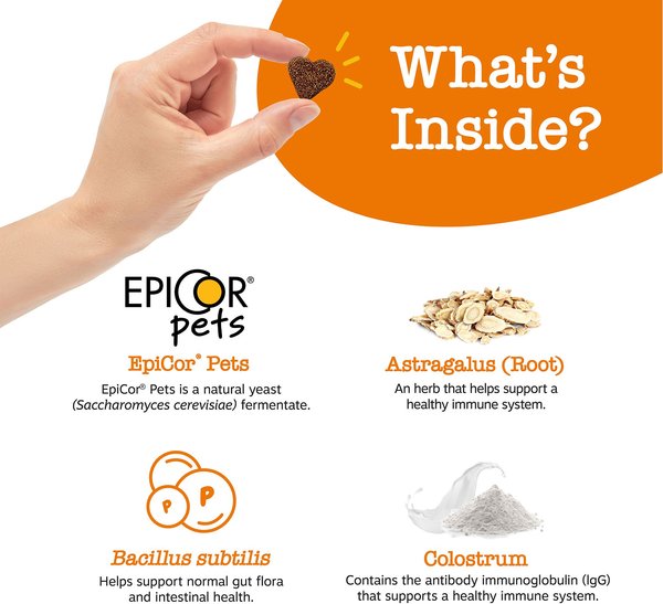 Show full view: Zesty Paws Allergy & Immune Bites Peanut Butter Flavored Soft Chews Allergies, Immune, & Gut Support Supplement for Dogs, 90 count slide 3 of 9