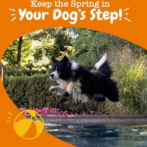 Show full view: Zesty Paws Hip & Joint Mobility Bites Duck Flavored Soft Chews Glucosamine Supplement for Dogs, 90 count slide 4 of 9