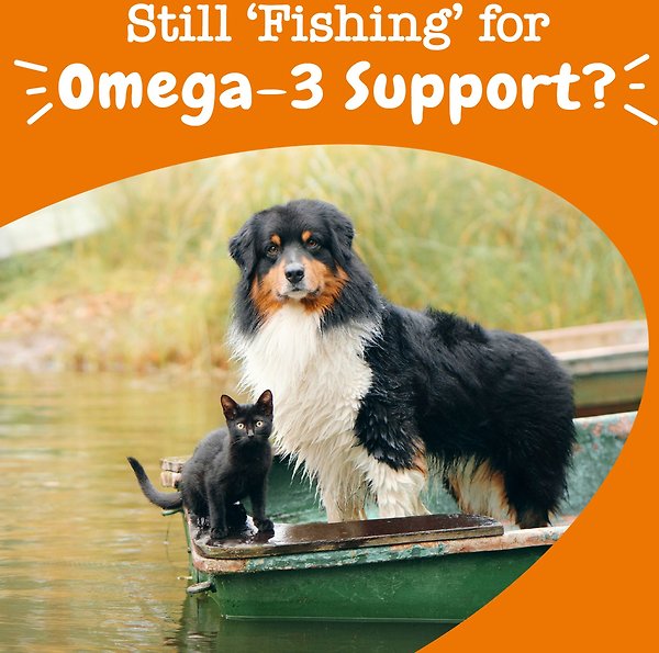 Show full view: Zesty Paws Wild Alaskan Omega + Salmon Oil Liquid Fish Oil Skin & Coat Supplement for Dogs & Cats, 8-oz bottle slide 6 of 10