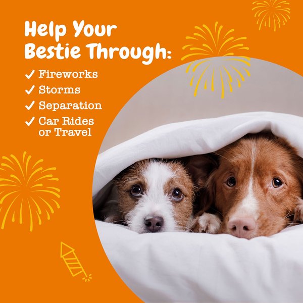 Show full view: Zesty Paws Calming Turkey Flavoured Relaxation & Calmness Soft Chews Supplement for Dogs, 90 Count slide 4 of 9