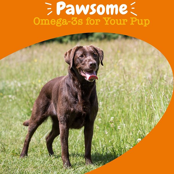 Show full view: Zesty Paws Skin & Coat Bites Chicken Flavored Soft Chews Omega 3 Fish Oil Supplement for Dogs, 90 count slide 4 of 9