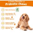 Show in main carousel: Zesty Paws Probiotic Bites Pumpkin Flavored Soft Chews Gut Flora & Digestive Supplement for Dogs, 90 count slide 2 of 9