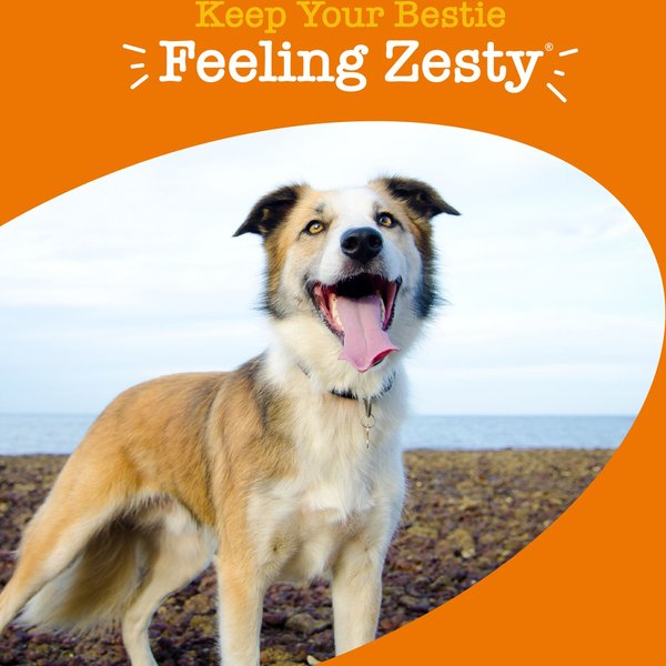 Show full view: Zesty Paws Multivitamin Peanut Butter Flavoured Soft Chews Glucosamine Fish Oil Supplement for Dogs, 90 count slide 4 of 10