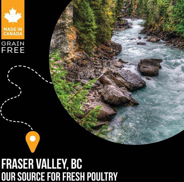 Show full view: Nutrience SubZero Fraser Valley Grain-Free Dry Cat Food, 4.5-kg bag slide 6 of 9