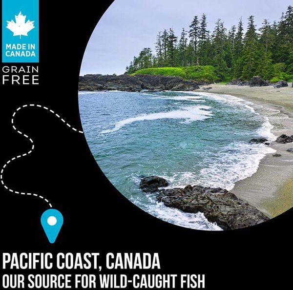 Show full view: Nutrience Subzero Canadian Pacific Grain-Free Cat Food, 1.8-kg bag slide 6 of 9