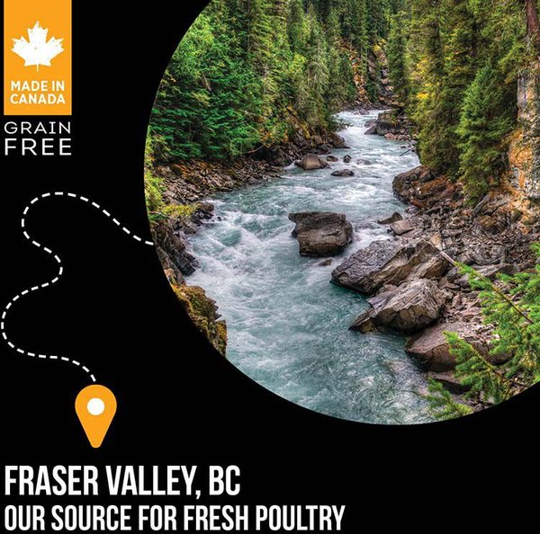 Show full view: Nutrience SubZero Fraser Valley Grain-Free Dry Dog Food, 4.5-kg bag slide 6 of 9