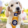 Show in main carousel: Pets First Toronto Maple Leafs Bottle Dog Toy slide 2 of 4