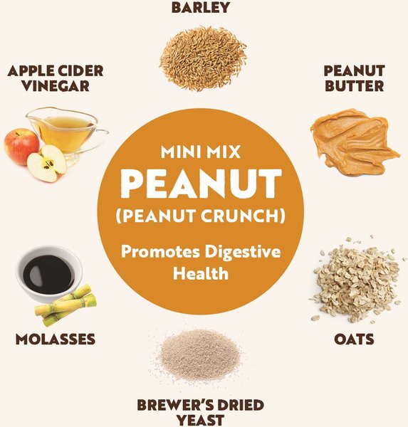 Show full view: Northern Biscuit MiniMix Pumpkin Pie and Peanut Crunch! Crunchy Dog Treats, 450-g bag slide 3 of 9